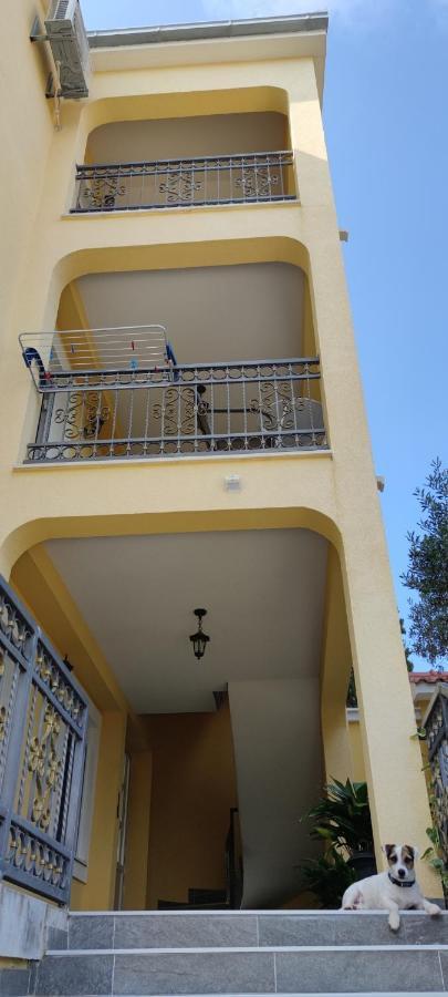 Apartments Sofija Slatine Kültér fotó